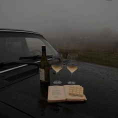 two wine glasses and an open book sit on the hood of a car in the rain