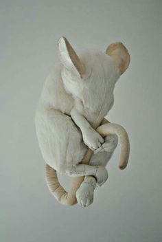 a white stuffed animal sitting on top of a table