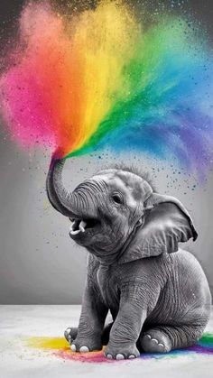 Funny Elephant Pictures, Cute Elephant Wallpaper, Elephant Wallpaper Iphone, Elephant Iphone Wallpaper, Elephant Phone Wallpaper, Colorful Elephant Painting, Elephants Wallpaper, Rainbow Elephant, Paw Wallpaper