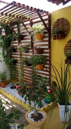 an outdoor area with potted plants on the wall and wooden trellis in the background