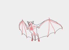 a drawing of a bat flying in the sky