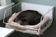 a cat is curled up in a bed on the window sill next to a window