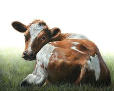 a painting of a brown and white cow laying in the grass with its head on it's back