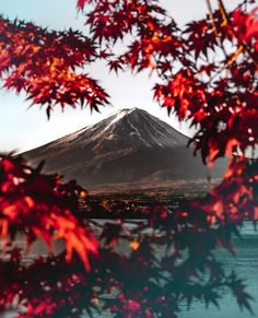 the mountain is surrounded by red leaves