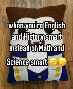 a pillow that says when you're english and history smart instead of math and science smart