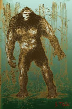 a drawing of a bigfoot standing in the grass