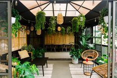 an outdoor living area with plants and wicker furniture