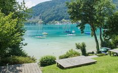 there are several boats that are in the water near some trees and benches on the grass