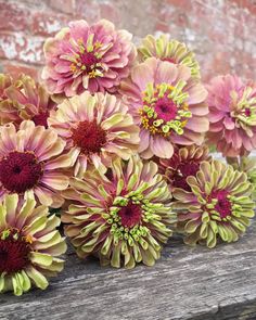 some pink and yellow flowers are sitting on a bench