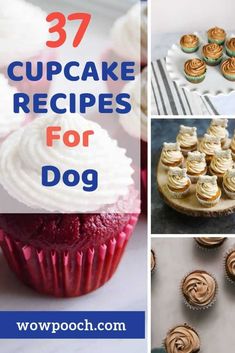 some cupcakes are shown with the words 37 cupcake recipes for dog