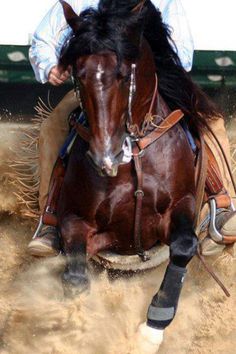 a man riding on the back of a brown horse