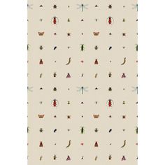 a white wallpaper with different types of bugs and insects on it's surface