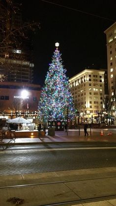 a large christmas tree is lit up in the city