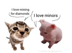 a cat and a pig are facing each other with words above them that say i love mine for diamonds