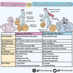 the differences between chronic bronchies and empysona