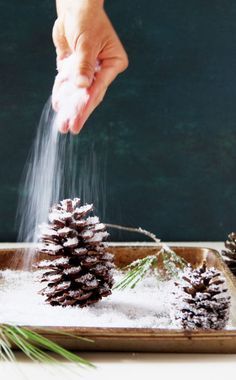 someone sprinkling snow onto pine cones on a tray