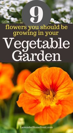 an orange flower with the words 9 flowers you should be growing in your vegetable garden