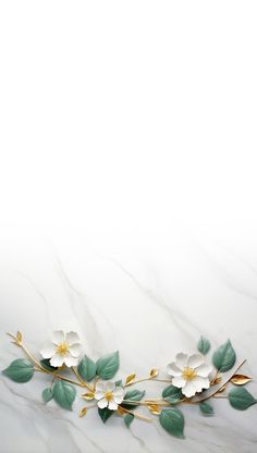 white flowers and green leaves on a marble background