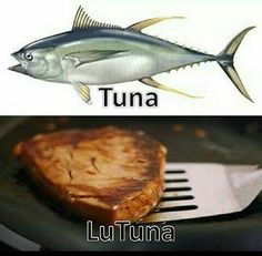 there are two different types of food on the grill and one has tuna in it