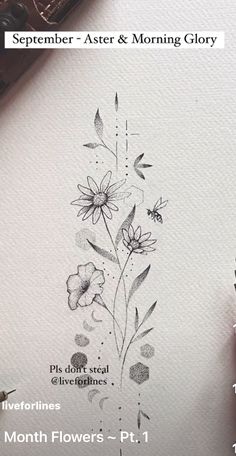 a drawing of flowers with the words, november - aster & morning glory on it