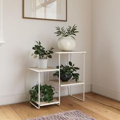 some plants are sitting on top of a shelf in a room with white walls and wooden floors