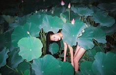 a woman is hiding in the middle of giant green leaves with her head between two hands