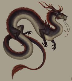 a drawing of a dragon with red and white feathers on it's back legs