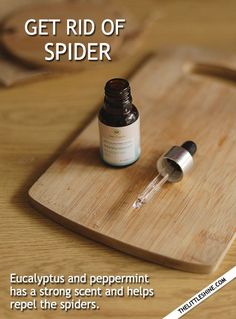 a wooden cutting board topped with a bottle of essentials next to a dropper