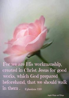 a pink rose with the words for we are his worship, created in christ jesus for god