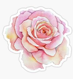 a watercolor painting of a pink rose sticker on a white background with the words,