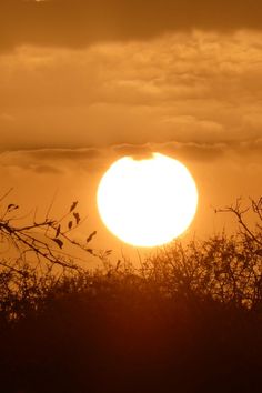 Sunset in the bush  , Hoedspruit  , Limpopo The Clouds, South African