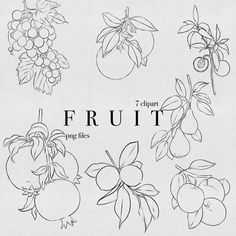 the fruit is drawn in black and white