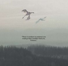 two birds flying in the sky with a quote on it that says, there is nowhere