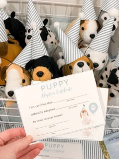 a person holding a puppy award certificate in front of stuffed pups wearing party hats