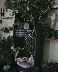 a book shelf filled with lots of plants next to a wall covered in pictures and books