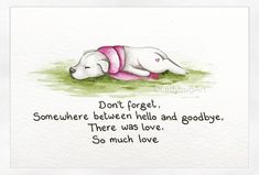 a drawing of a dog laying on the ground with a quote written below it that says, don't forget somewhere between hell and goodbye there was love, so much love