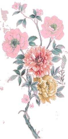 a drawing of flowers with leaves and stems on white paper, including pink and yellow flowers