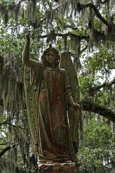 an angel statue in front of trees with moss hanging from it's branches and moss on