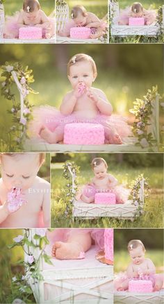 Find a good mountain in Colorado Outdoor Cake Smash, Kind Photo, Baby Fotografie, One Year Birthday, Baby Shoot, Toddler Photography