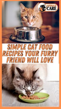 a cat eating food out of a green plate on top of a wooden table next to another cat