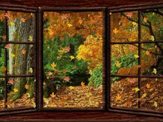 an open window with autumn leaves on the ground and trees in the woods behind it