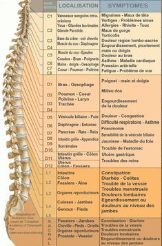 Polarity Therapy, Massage Points, Massage Dos, Relaxation Massage, Herbal Coffee, Fitness Facts, Trigger Point, Yoga Positions