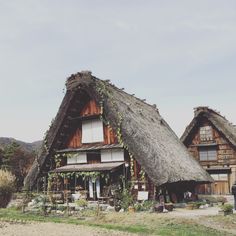 an old thatched house with vines growing on the roof