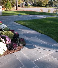 a garden area with flowers and grass in the background, along side a paved walkway