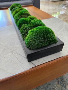 a table that has some grass on it in the shape of a rectangle, sitting on top of a marble slab