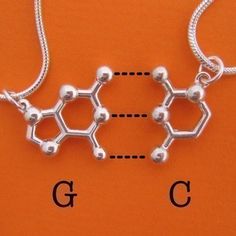 DNA friendship necklace....just need a super nerdy friend to share this with :) Dna And Rna, Molecule Necklace, Bff Jewelry, Friendship Necklace, Sanders Sides, Bff Necklaces, Science Ideas, Friendship Necklaces, Best Friendship