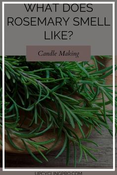 rosemary sprigs on a wooden table with the words what does rosemary smell like?