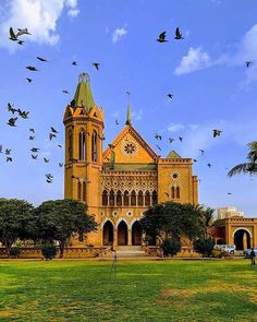 birds are flying in front of an old building with green grass and trees on the lawn