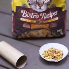 a bag of bistro recipe next to a paper plate with cat food on it