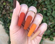 Orange Gradient Press on Nails Choose Your Shape Reusable Etsy Orange Acrylic Nails, Orange Nail Designs, Orange Gradient, Acrylic Press On Nails, Fall Acrylic Nails, Thanksgiving Nails, Nailed It, Coffin Nails Designs